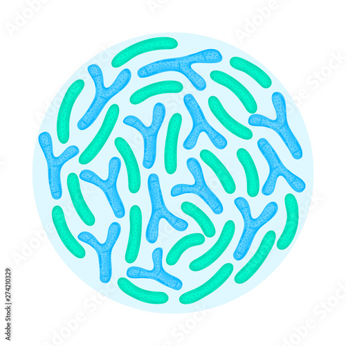 Vector probiotics in circular shape. Bifidobacterium, lactobacillus. Lactic acid bacterium. Medicine or dietary supplement. Brochure, label, cover, poster, banner, package, advertising, presentation