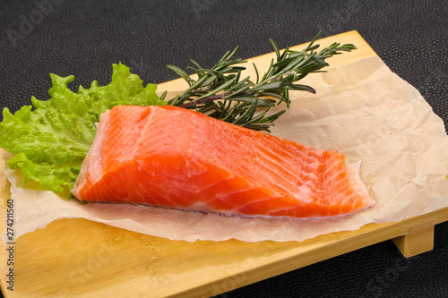 Piece of raw salmon