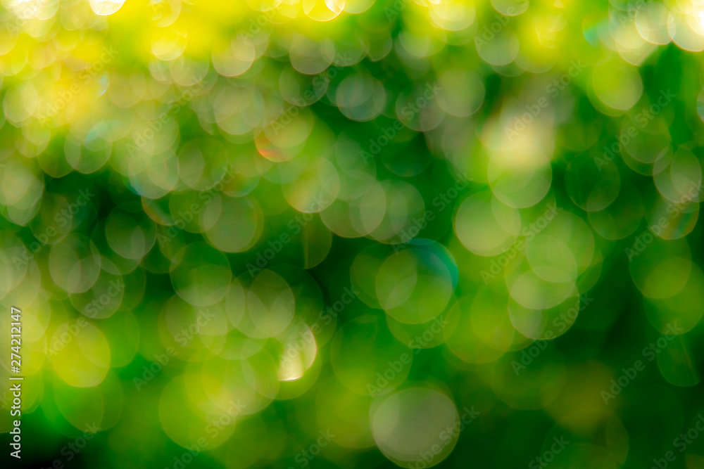 Blurred fresh green grass field in the early morning. Green grass with bokeh background in spring. Nature background. Clean environment. Green bokeh abstract background with sun light. Blurred fresh green grass field in the early morning. Green grass with bokeh background in spring. Nature background. Clean environment. Green bokeh abstract background with sun light.