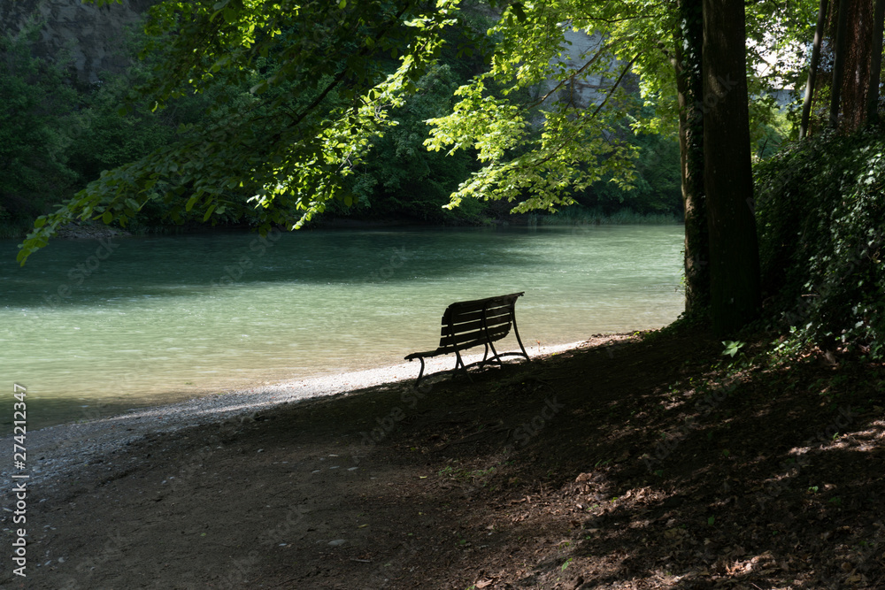 shaded and empty park bench on an idyllic and pictruresque riverbank in cool lush summer forest