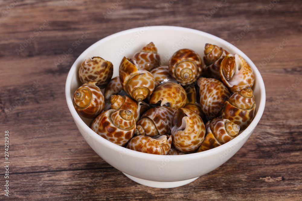 Tasty mollusk - spotted Babylon in the bowl Tasty mollusk - spotted Babylon in the bowl