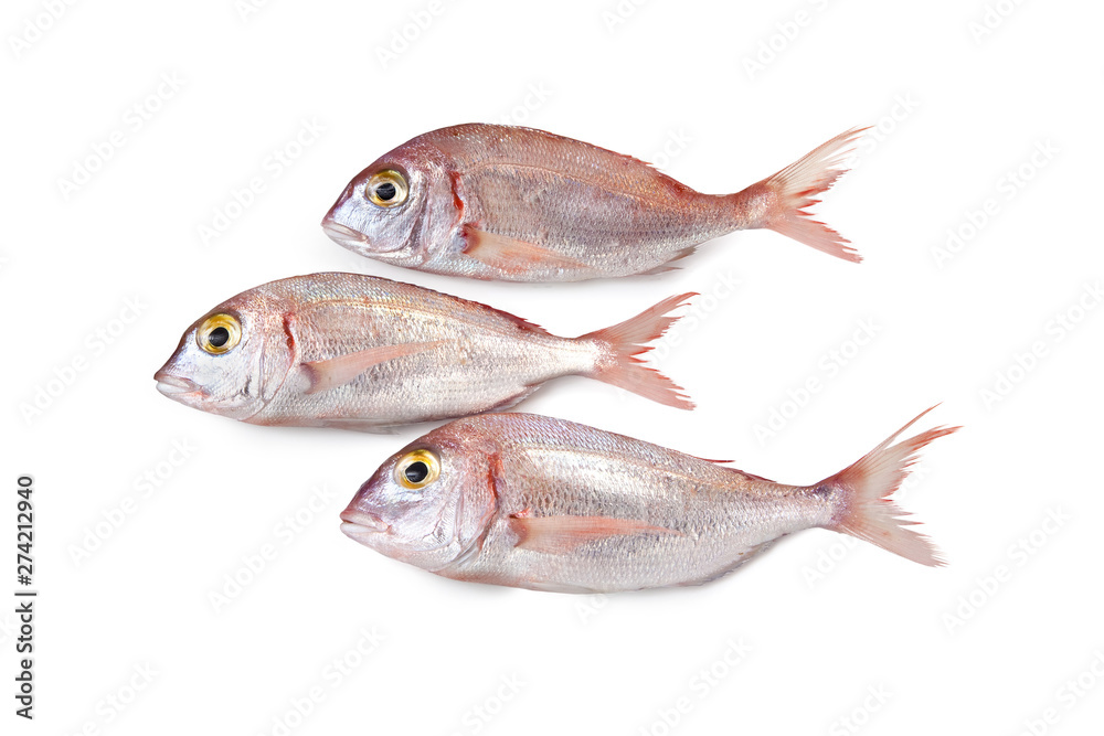 Mediterranean fish, Common pandora, Luvaro, Pagello, Pagellus erythrinus  Stock Photo | Adobe Stock