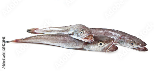 Mediterranean fish, European hake, Merluzzo, Merluccius merluccius