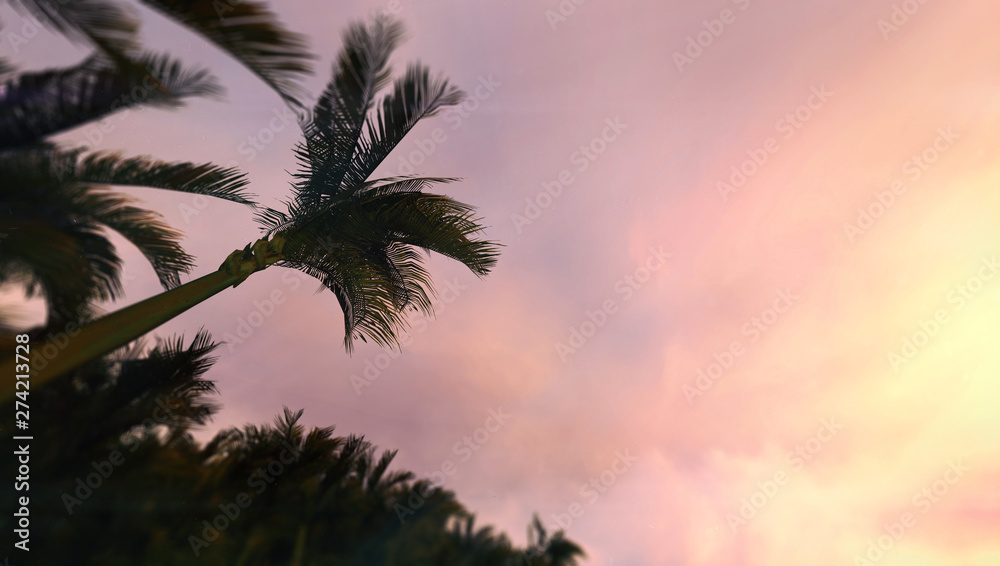 Sundown sky with tropical palm trees seen from below, tropical untouched destination as 3D illustration copy space background
