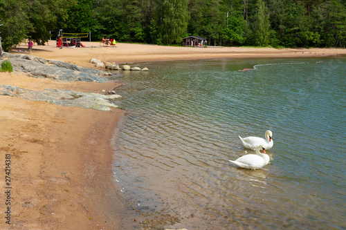The urban public beach and the resting place of people and swans in Ruissalo Park in the island part of Turku in Finland on a summer day. Recreation and nature in Finland.