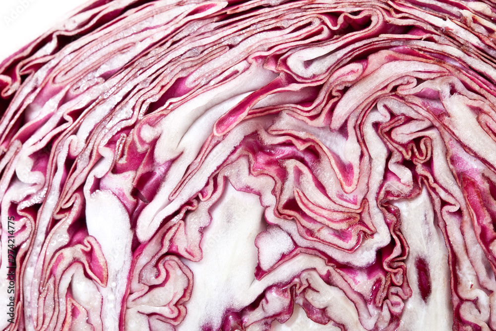 Obraz premium Radicchio from Italy, Isolated on White Background – Local Cultivar 