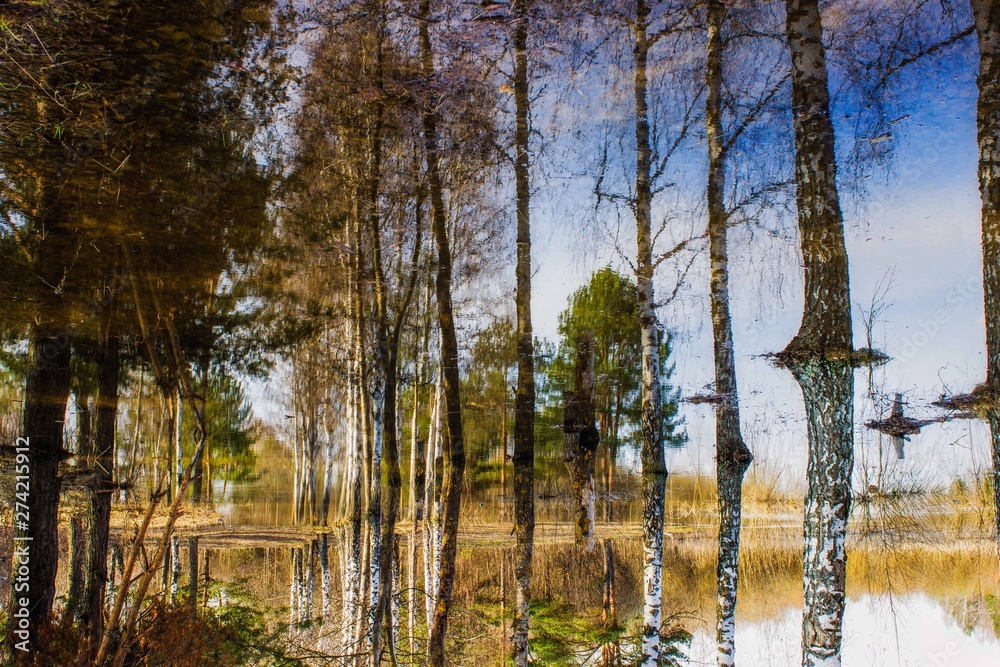 Obraz premium nature