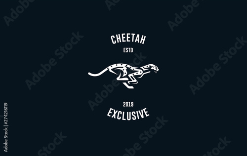 The image of a cheetah.
