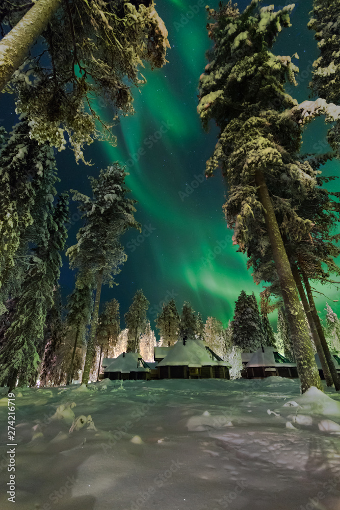 Aurora Boreale (Nortern Light), Pyhätunturi, vicino Luosto, Lapponia