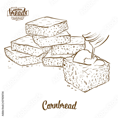 Cornbread bread vector drawing