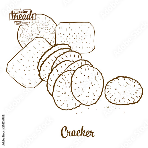 Cracker bread vector drawing