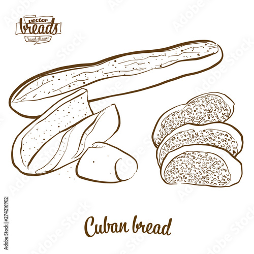 Cuban bread bread vector drawing