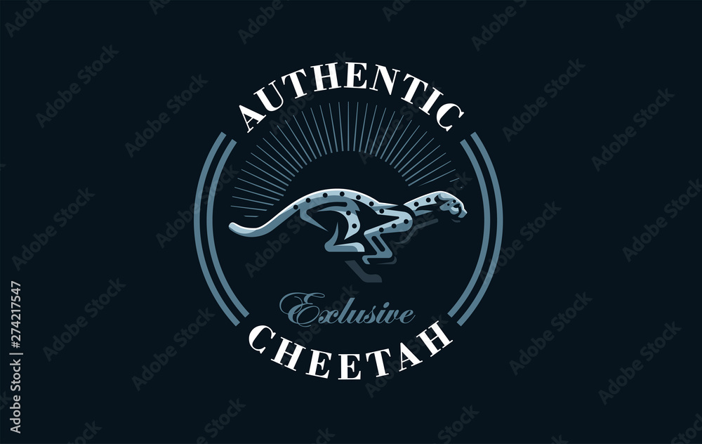 Obraz premium The image of a cheetah.