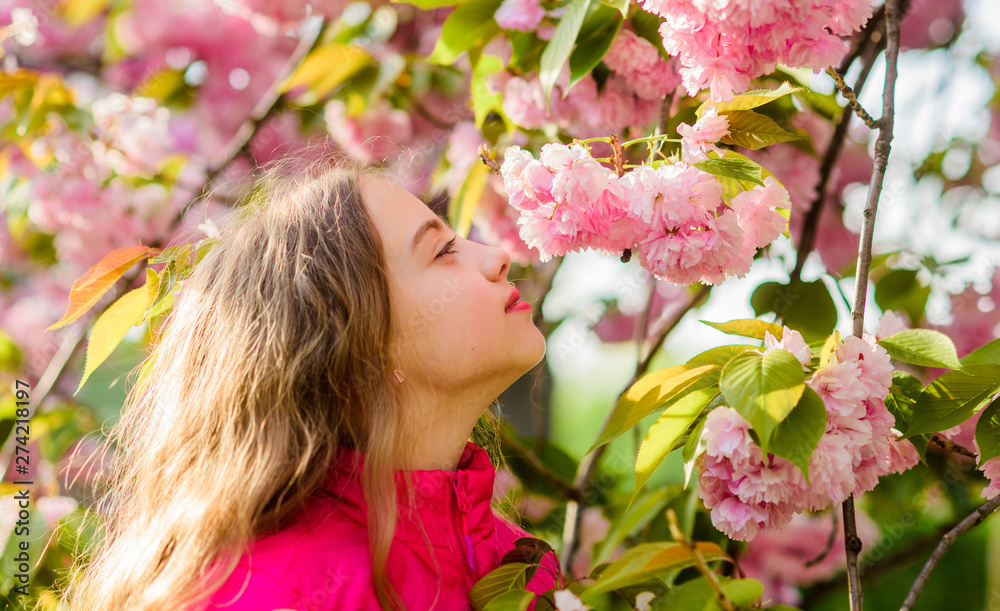Fototapeta premium small girl in spring flower bloom. happy girl in cherry flower. Sakura tree blooming. summer holiday. Childhood beauty. skincare spa. Natural cosmetics for skin. blossom smell, allergy. Spring