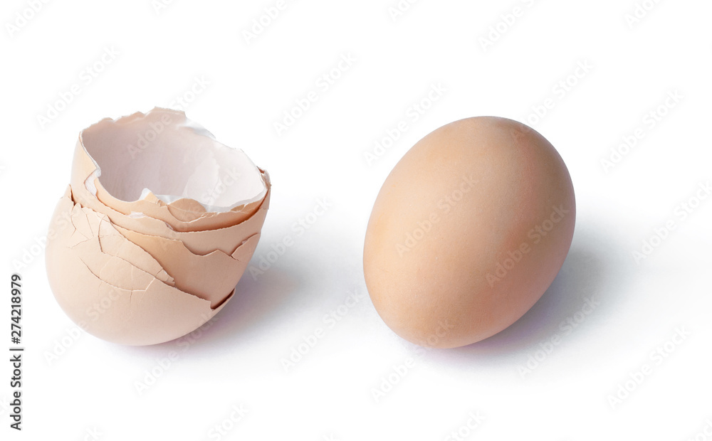 egg shell with egg on white background egg shell with egg on white background