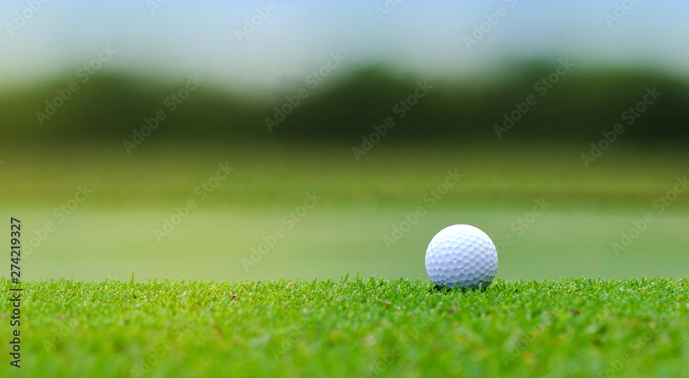 White Golf ball on green course to be shot on blurred beautiful landscape of golf course in bright day time with copy space. Sport, Recreation, Relax in holiday concept White Golf ball on green course to be shot on blurred beautiful landscape of golf course in bright day time with copy space. Sport, Recreation, Relax in holiday concept