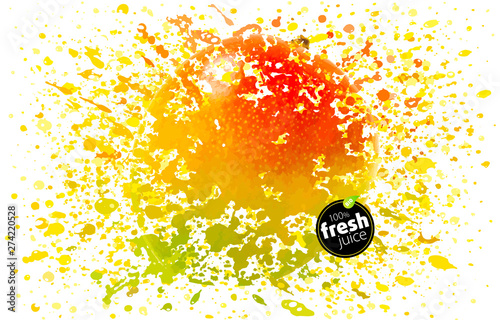 Mango juice splash. Fresh fruit and splashes. A blast of fresh fruit taste. Tropical juicy splatter. White background, EPS10 Illustration
