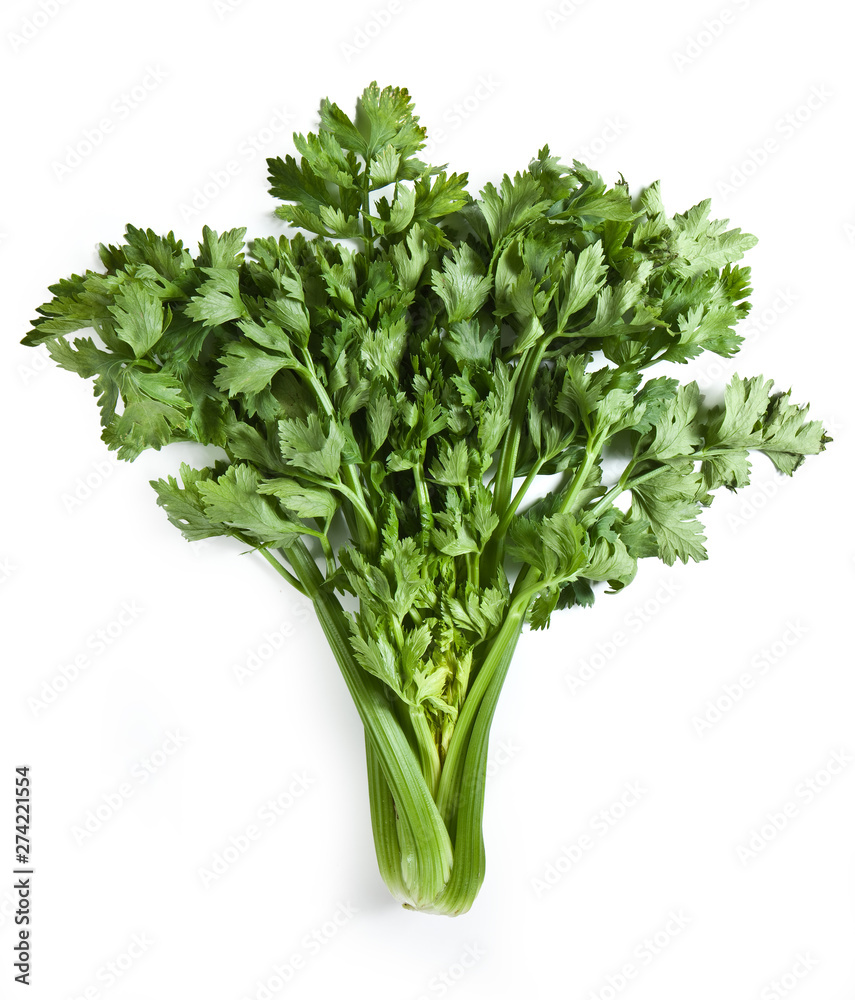 Fresh Celery steam, isolated on white background, Sedano, Apium graveolens Fresh Celery steam, isolated on white background, Sedano, Apium graveolens