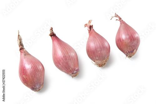 Bild auf Leinwand Shallot Allium ascalonicum Scalogno