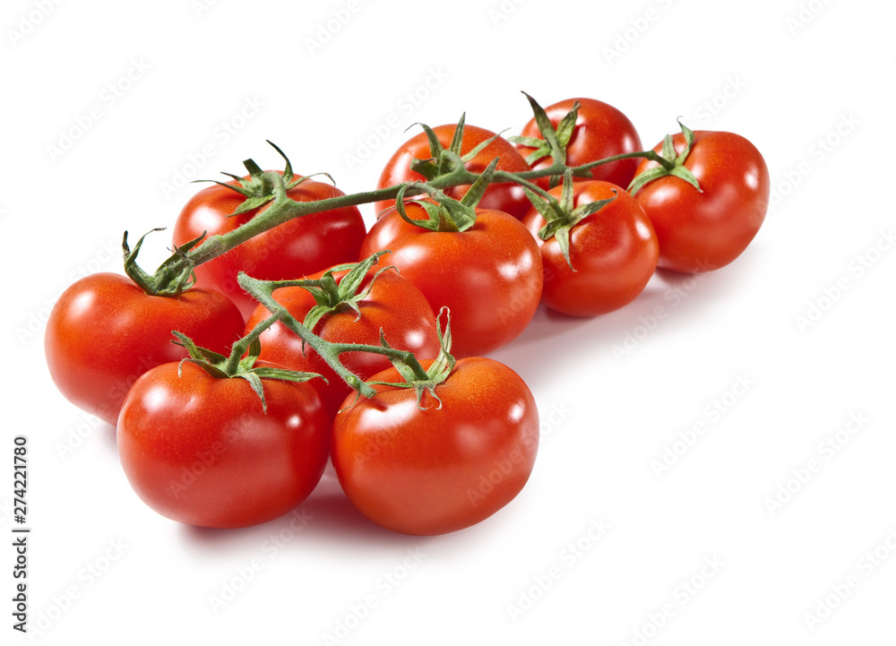 Tomatoes, Isolated on White Background – Bunch, Group of Fresh Italian Tomatoes, Red Vegetable, Green Stem, Traditional Cuisine Ingredient – Detailed Close-Up Macro, High Resolution Tomatoes, Isolated on White Background – Bunch, Group of Fresh Italian Tomatoes, Red Vegetable, Green Stem, Traditional Cuisine Ingredient – Detailed Close-Up Macro, High Resolution