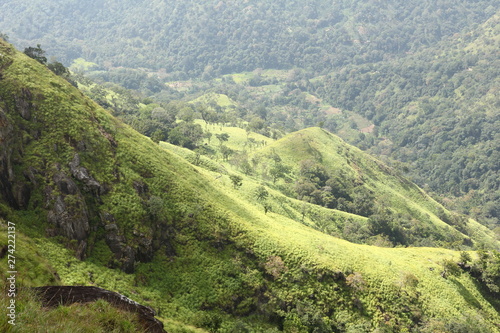 Sri Lanka - view from little adam`s peak - green mountain