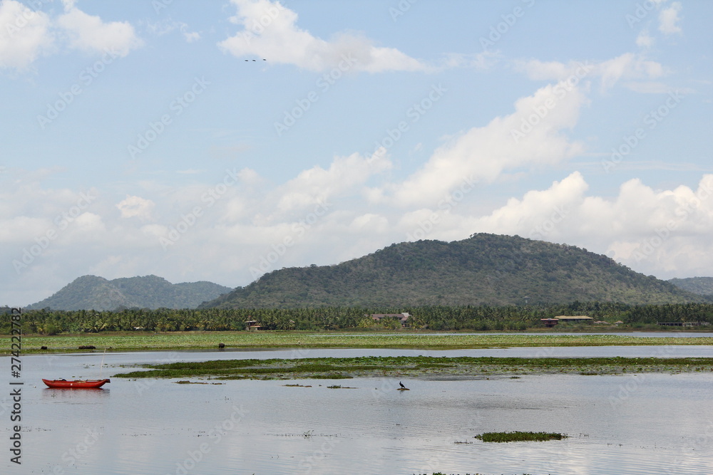 Sri Lanka - Yala National par - landscape view