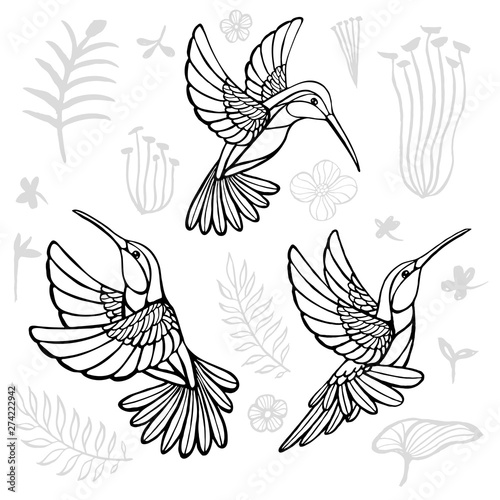 Hummingbirds with floral elements black birds in lines on white background tattoo sketch style. Hand drawn vector illustration.