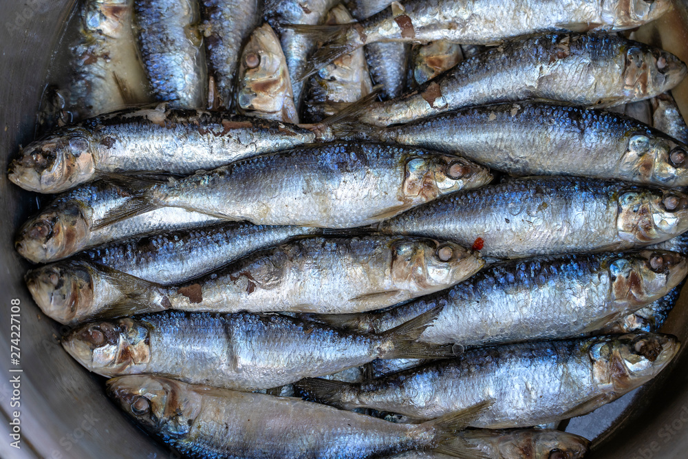Salted sea fish at street market in Ubud, Bali, Indonesia. Seafood concept. Raw fish for cooking, closeup