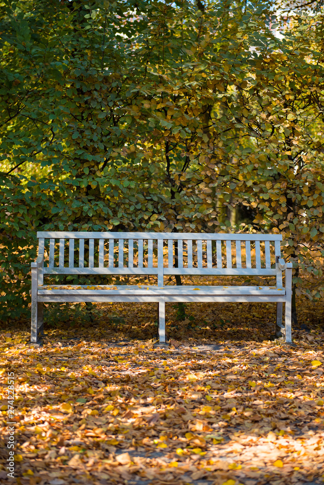 Long white chair in front of forest in autumn