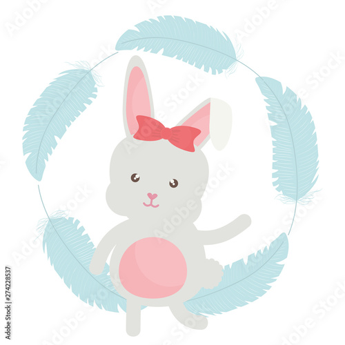 cute little rabbit with feathers frame