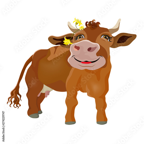 Funny cow