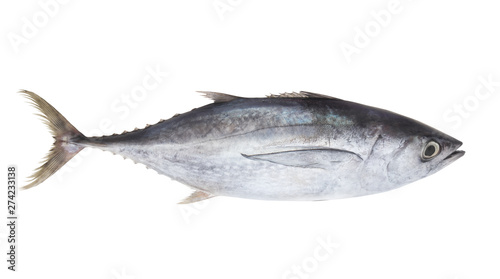 Tableau sur toile Fresh tuna fish isolated on white background