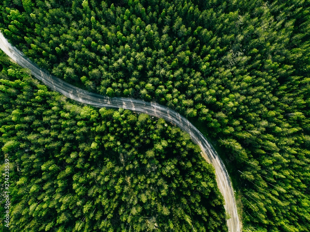 Aerial view of green forest road. Curved road from above. Stock Photo ...