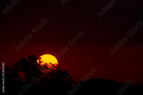 A deep orange sun rises up behind some leafy trees with a dark orange and red sky around it.