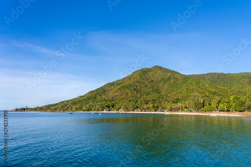 Beautiful bay with coconut palm trees and boats. Tropical sand beach and sea water on island Koh Phangan, Thailand