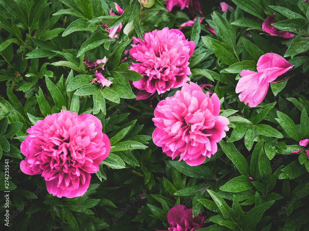 Colors that pleases the look Colors that pleases the look