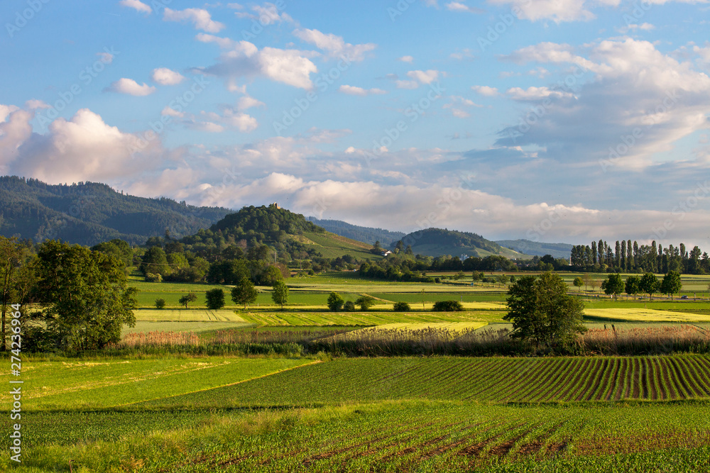 Fototapeta premium Staufen_Rheinebene_0766