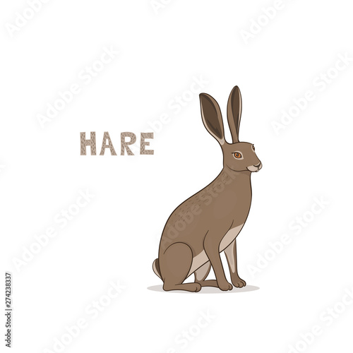 A cartoon hare, isolated on a white background. Animal alphabet.