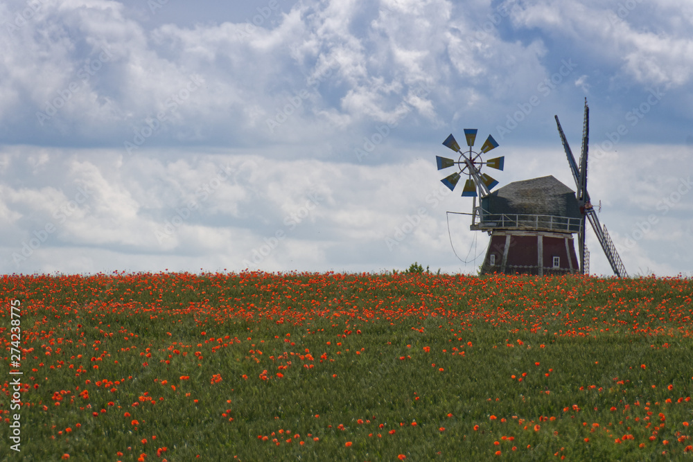 Windmühle am Mohnfeld