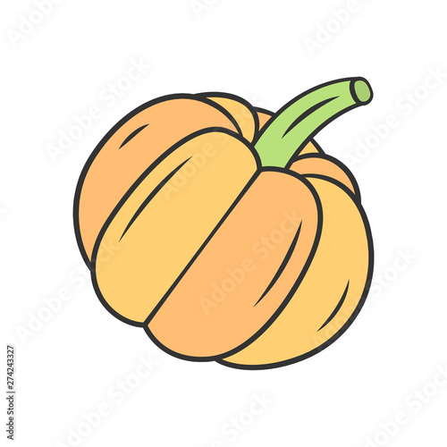 Pumpkin color icon