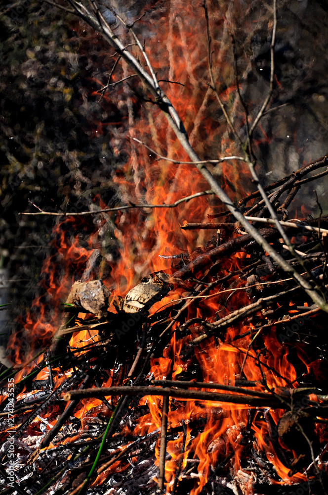 small dry branches burn on a fire in a large fire. Tongues of flame small dry branches burn on a fire in a large fire. Tongues of flame