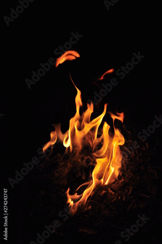 a big flame of fire in the dark. On a black background. Languages of fire. Fire is burning