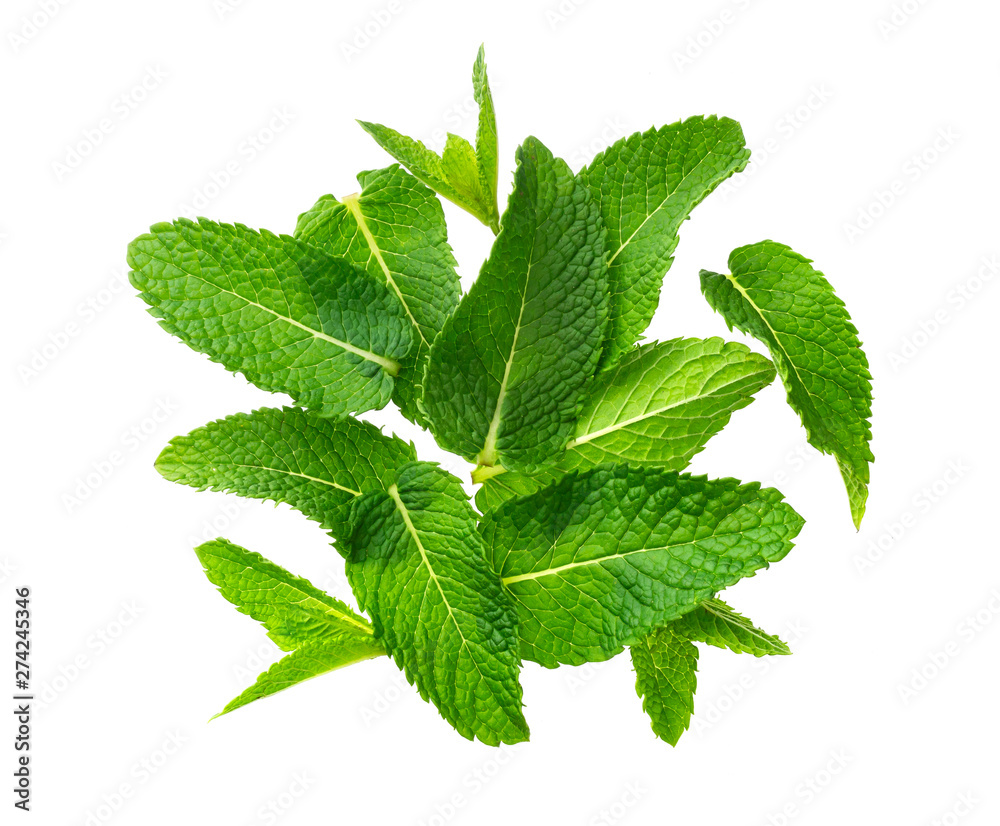 Pile of mint leaves isolated on white background, top view Pile of mint leaves isolated on white background, top view