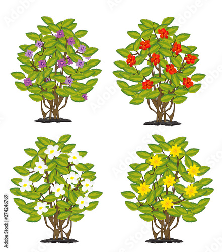 Vector illustration of the shrubbery with flower