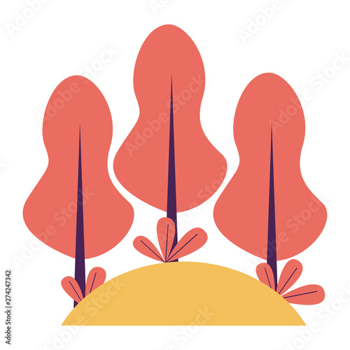 forest trees botanical natural