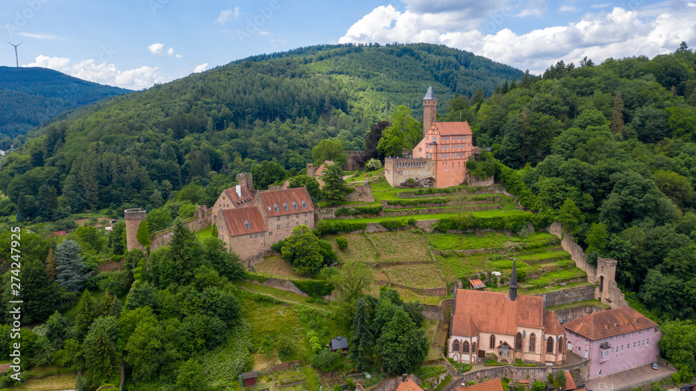 Hirschhorn castle