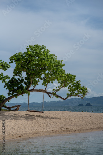 tree on the beach © Thanarat