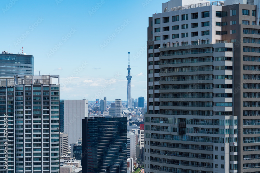 Fototapeta premium Sceneria Tokio