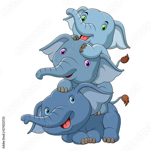 three cute baby elephant 