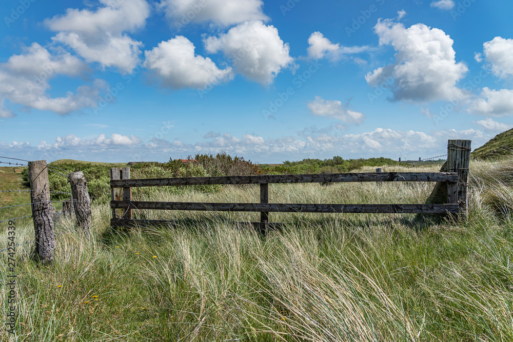 Sylt - View to meadows nearby List Harbor/ Germany
